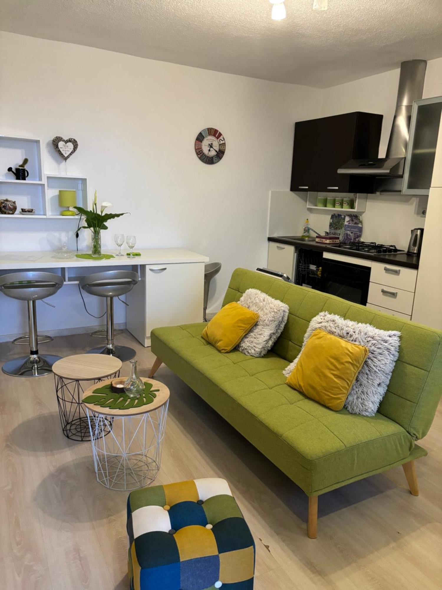 Apartman Edina Rijeka Bagian luar foto