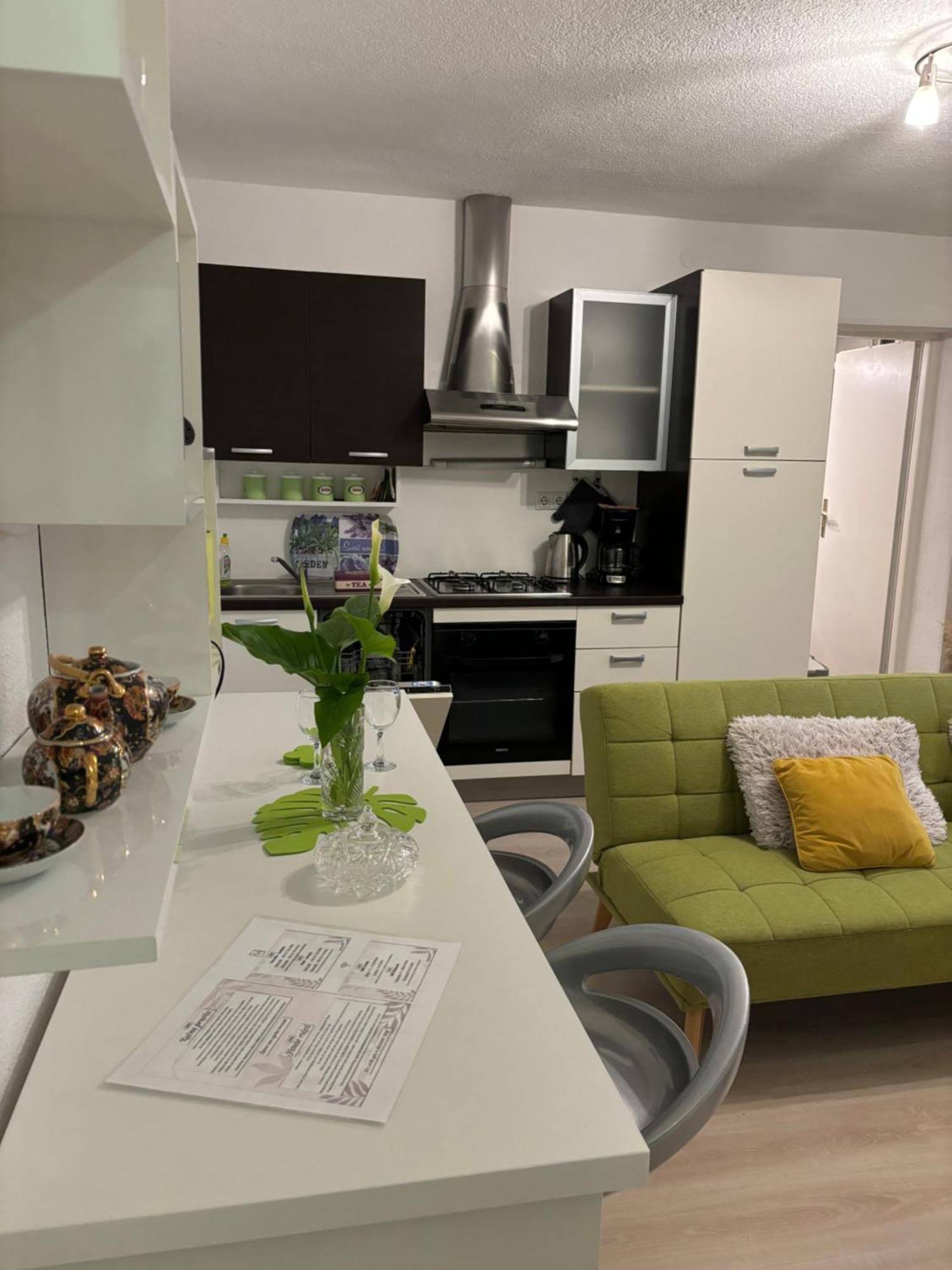 Apartman Edina Rijeka Bagian luar foto